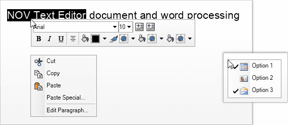 image du produit Nevron Open Vision for .NET