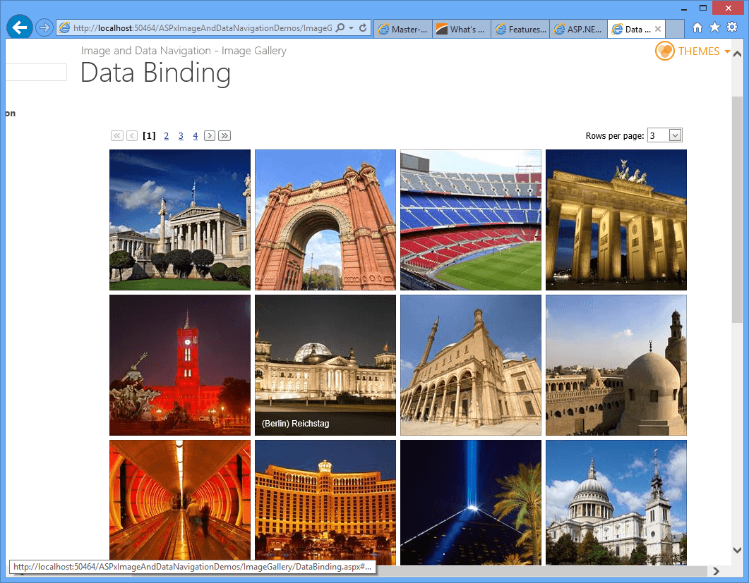 DevExpress Online Training launched