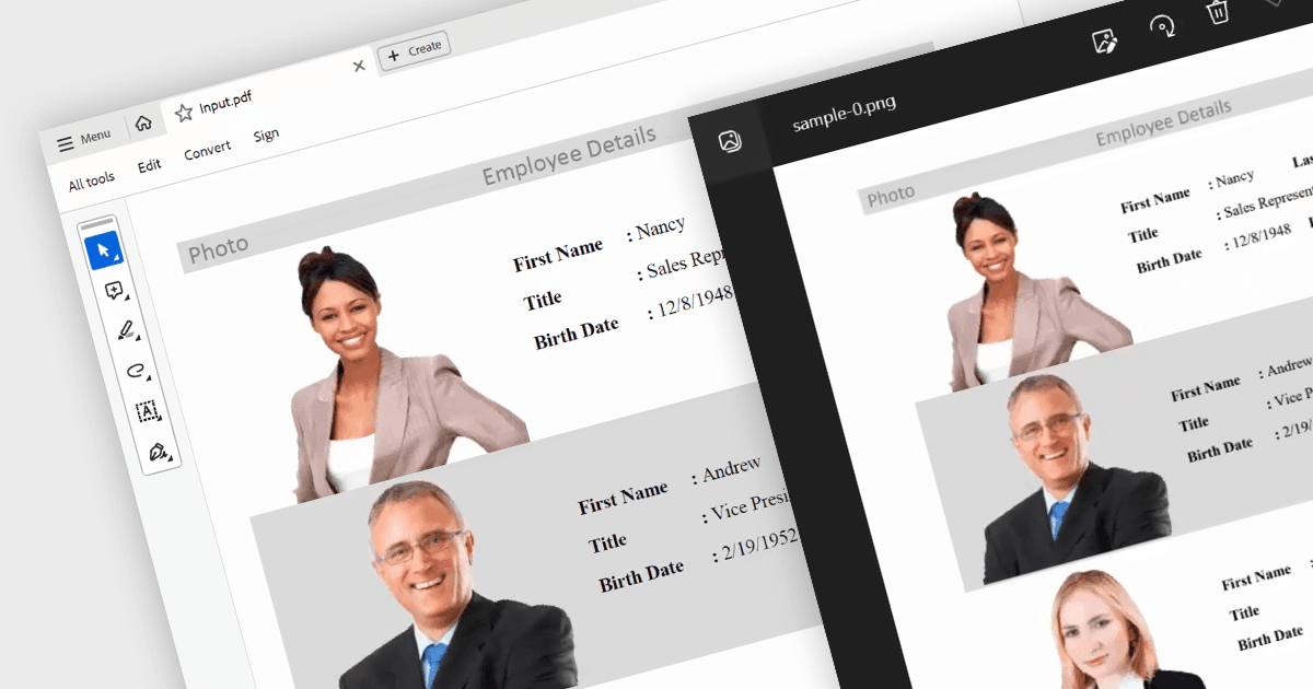 Convert PDFs to Images in .NET WinForms