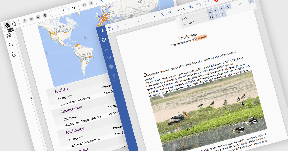 Let Users Open and Manage PDFs In-App