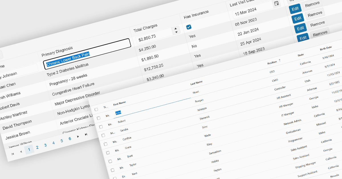 Simplify Data Entry with Built-In Grid Editing