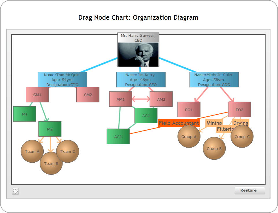 The drag-node chart is a specialized type of chart where each data set is shown on the chart as a drag-able node. Perfect for network diagrams, hierarchy structures etc. this chart provides a highly intuitive interface for your end users to visually adjust related entities, link them and even add new ones. You can take visual inputs from your users using this chart and then submit the final positions of the nodes to your scripts for further processing.