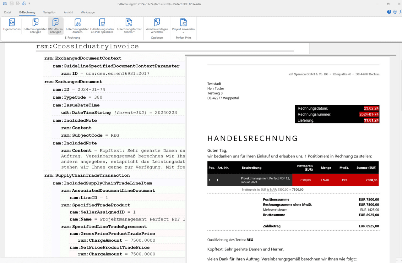 imagen del producto PDF Xpansion SDK - E-Invoicing (Receipt Plus)