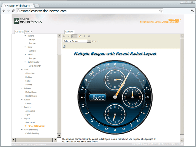 Nevron Vision for SSRS product image