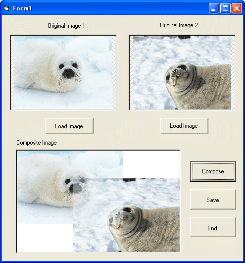 ImageKit10 ActiveX product image
