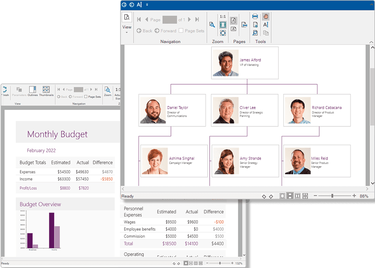 ComponentOne WPF FlexReport product image