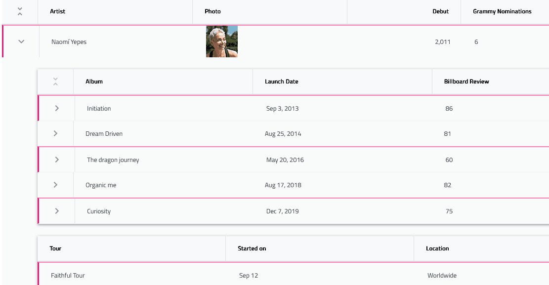 Infragistics Ignite UI for React Hierarchical Grid product image Infragistics Ignite UI for React Hierarchical Grid product image