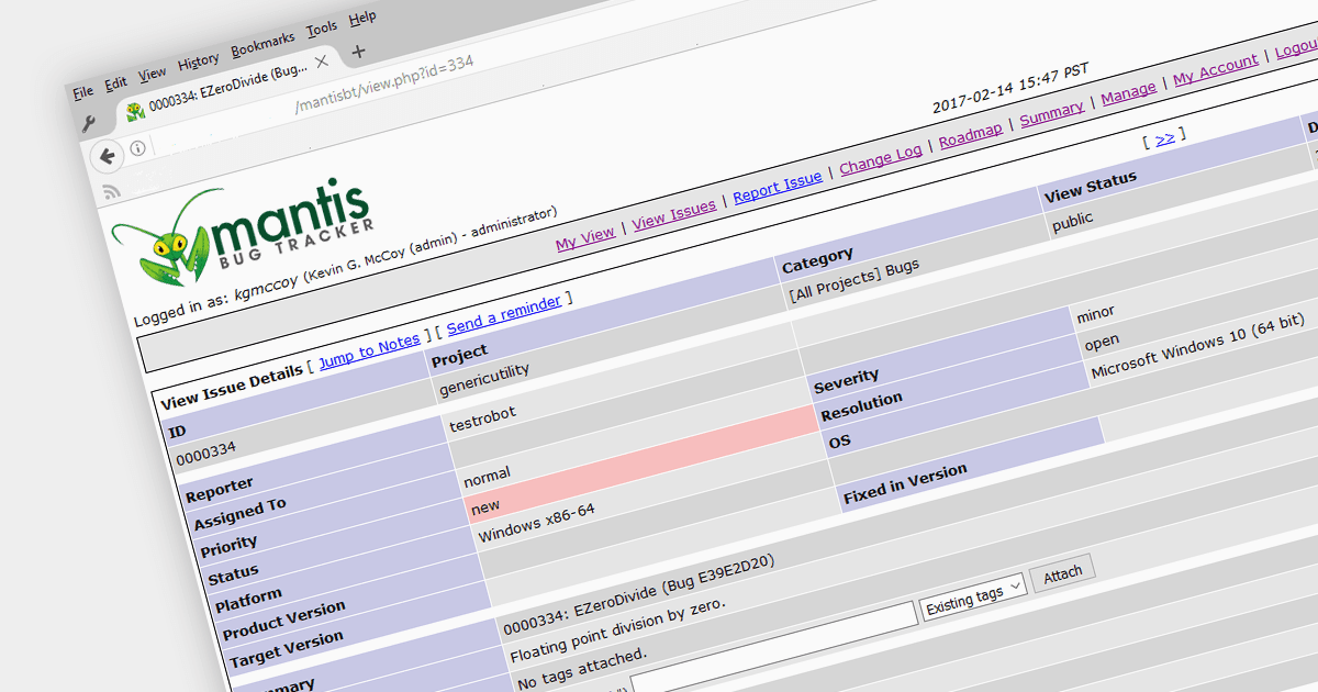 Identify and Resolve Bugs in RAD Studio 12 Projects