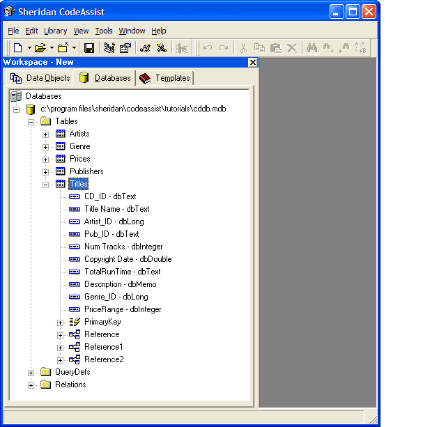 CodeAssist generates data access code. To do this it must have access to a structured data source. Adding a database to your workspace provides the necessary connection.