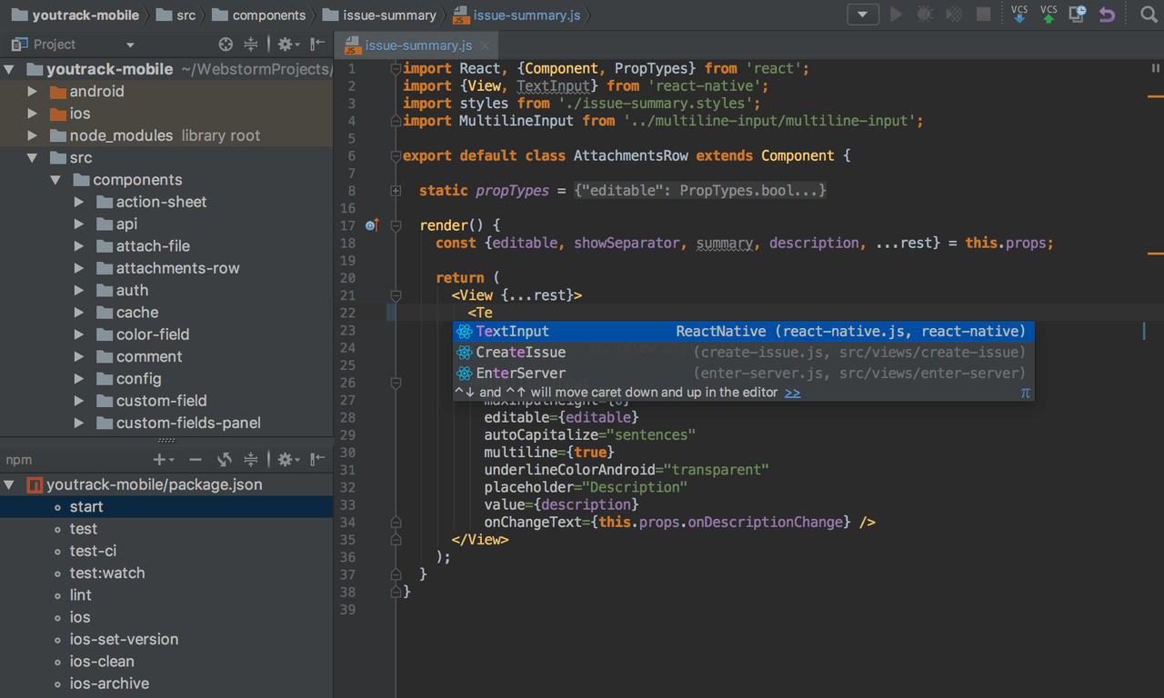 WebStorm Produktbild